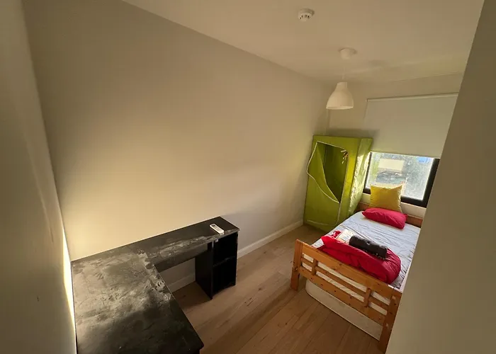 Apartamento Small Shared In